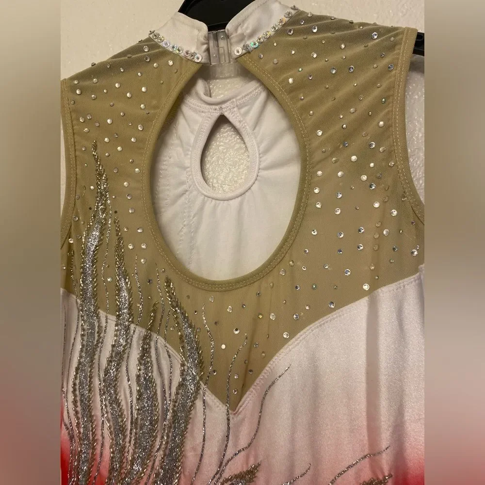 Custom solo dance ice skating ballet costume red ombre embellished dress MA